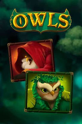 Owls